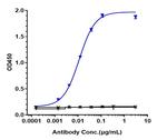 Folate Receptor alpha (Mirvetuximab Biosimilar) Recombinant Humanized mouse Monoclonal Antibody