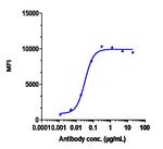 Mirvetuximab Humanized Recombinant Human Monoclonal Antibody