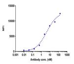 Glypican 3 (Codrituzumab Biosimilar) Recombinant Human Monoclonal Antibody