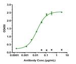 Her-2 (ErbB2) (Pertuzumab Biosimilar) Recombinant Humanized mouse Monoclonal Antibody
