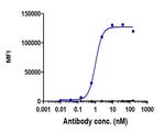 Vobarilizumab Humanized Recombinant Human Monoclonal Antibody