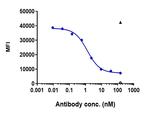 Tocilizumab Humanized Recombinant Human Monoclonal Antibody