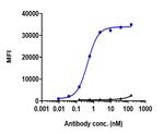 Tocilizumab Humanized Antibody in Flow Cytometry (Flow)