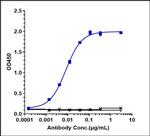 Camrelizumab Humanized Recombinant Human Monoclonal Antibody