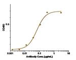 PDGF-B Biosimilar Recombinant Human Monoclonal Antibody