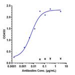Atezolizumab Antibody in ELISA (ELISA)