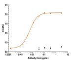 Durvalumab Antibody in ELISA (ELISA)