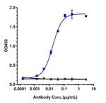 Rosopatamab Humanized Recombinant Human Monoclonal Antibody