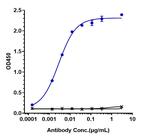Zilovertamab Humanized Antibody in ELISA (ELISA)