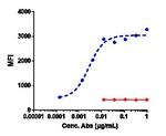 ROR1 (Zilovertamab Biosimilar) Recombinant Human Monoclonal Antibody