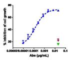 ROR1 (Zilovertamab Biosimilar) Antibody in Functional Assay (Functional)