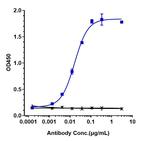 TIGIT (Tiragolumab Biosimilar) Antibody in ELISA (ELISA)