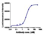 Tiragolumab Antibody in ELISA (ELISA)