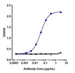 Infliximab Chimeric Recombinant Human Monoclonal Antibody