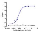 Ramucirumab Antibody in ELISA (ELISA)