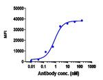 Ramucirumab Recombinant Human Monoclonal Antibody