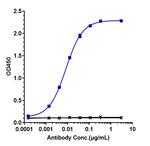 Urelumab Antibody in ELISA (ELISA)