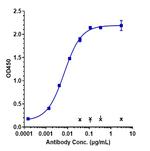 CD166 (ALCAM) (Praluzatamab Biosimilar) Recombinant Human Monoclonal Antibody