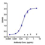 Angiopoietin 2 (Nesvacumab Biosimilar) Recombinant Human Monoclonal Antibody