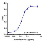 VISTA (Onvatilimab Biosimilar) Antibody in ELISA (ELISA)
