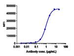 VISTA (Onvatilimab Biosimilar) Recombinant Human Monoclonal Antibody