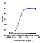 C1S (Sutimlimab Biosimilar) Recombinant Humanized mouse Monoclonal Antibody