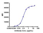 K-cadherin Biosimilar Recombinant Human Monoclonal Antibody