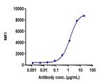 Belantamab Recombinant Human Monoclonal Antibody