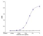 CD40 (Bleselumab Biosimilar) Recombinant Human Monoclonal Antibody