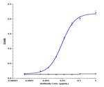 Dacetuzumab Humanized Antibody in ELISA (ELISA)