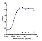 Claudin 6 (Biosimilar) Antibody in ELISA (ELISA)