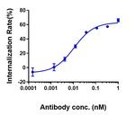 Claudin 6 (Biosimilar) Antibody in Functional Assay (Functional)