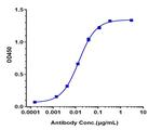 CSF1R (CD115) (Cabiralizumab Biosimilar) Antibody in ELISA (ELISA)