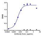 FAP (Sibrotuzumab Biosimilar) Recombinant Humanized mouse Monoclonal Antibody