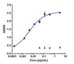 FGFR3 (Vofatamab Biosimilar) Recombinant Human Monoclonal Antibody