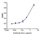 FGFR4 (Biosimilar) Recombinant Human Monoclonal Antibody