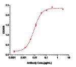 Glembatumumab Recombinant Human Monoclonal Antibody