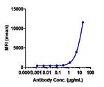 Talquetamab Humanized Recombinant Human Monoclonal Antibody