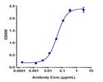 Her-3 (ErbB3) (Patritumab Biosimilar) Recombinant Human Monoclonal Antibody