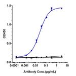 Rilotumumab Recombinant Human Monoclonal Antibody