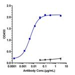 Emibetuzumab Humanized Antibody in ELISA (ELISA)