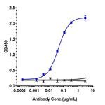 Sifalimumab Recombinant Human Monoclonal Antibody