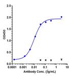 Xentuzumab Humanized Recombinant Human Monoclonal Antibody