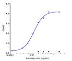 IL31RA (Nemolizumab Biosimilar) Antibody in ELISA (ELISA)