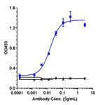 IL-33 (Etokimab Biosimilar) Recombinant Human Monoclonal Antibody
