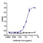 IL-5 (Mepolizumab Biosimilar) Antibody in ELISA (ELISA)