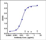 CD127 (Lusvertikimab Biosimilar) Recombinant Human Monoclonal Antibody