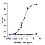 Relatlimab Antibody in ELISA (ELISA)