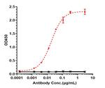 Mesothelin (Anetumab Biosimilar) Recombinant Human Monoclonal Antibody