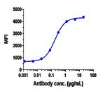 Anetumab Recombinant Human Monoclonal Antibody